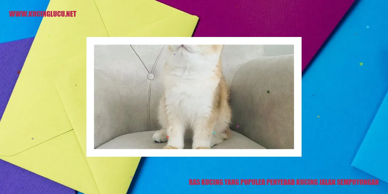 Ras Kucing Populer
