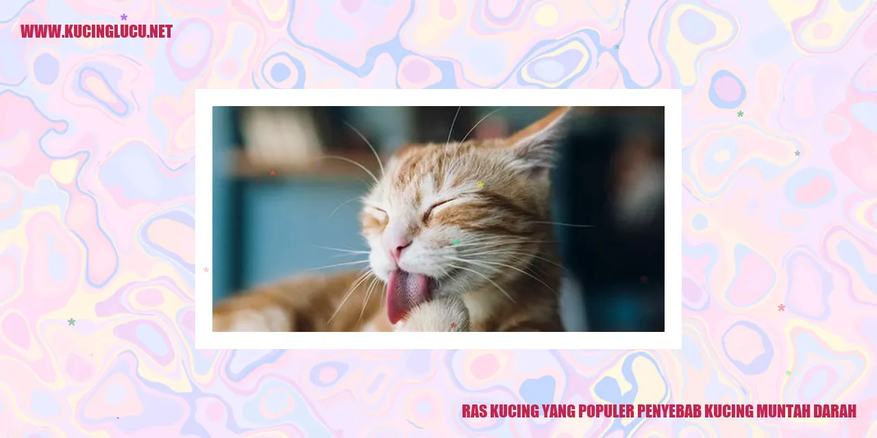 Gambar Kucing Populer