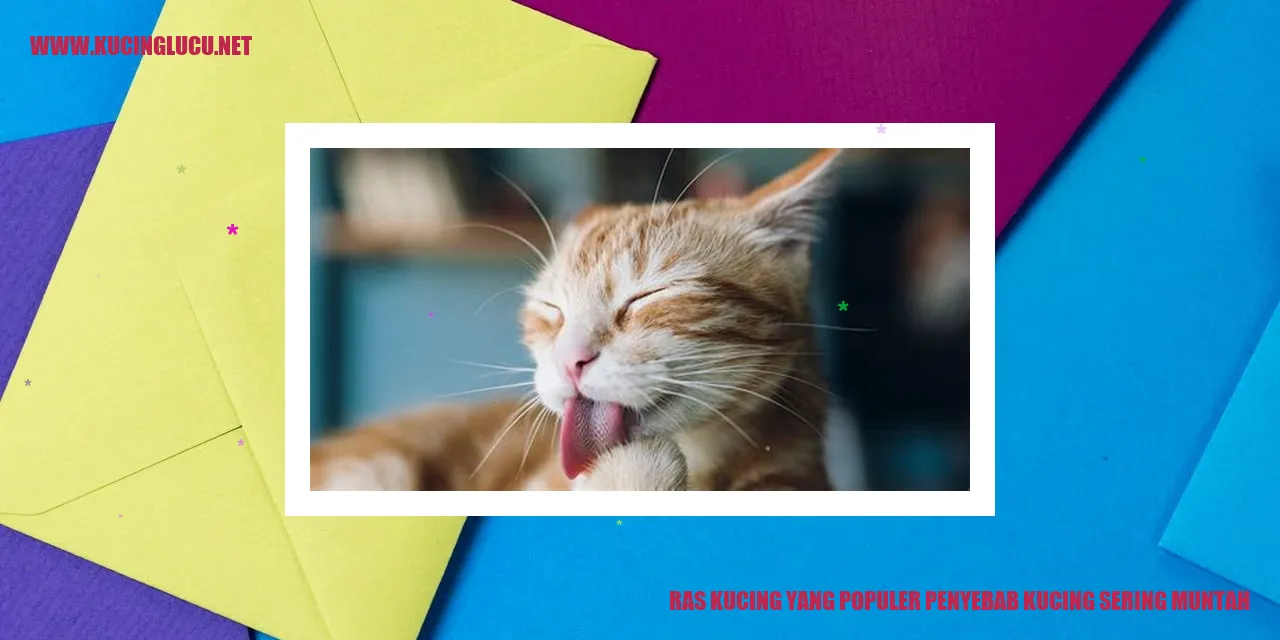 Ras Kucing yang Populer penyebab kucing sering muntah