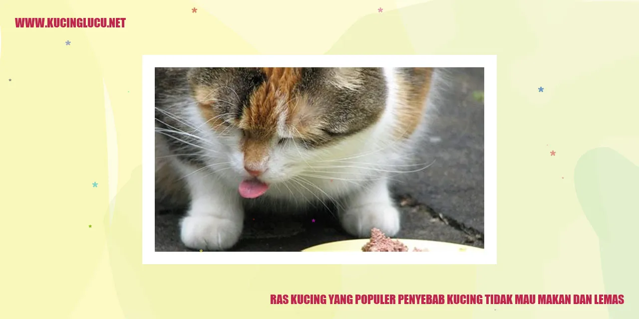 Ras Kucing