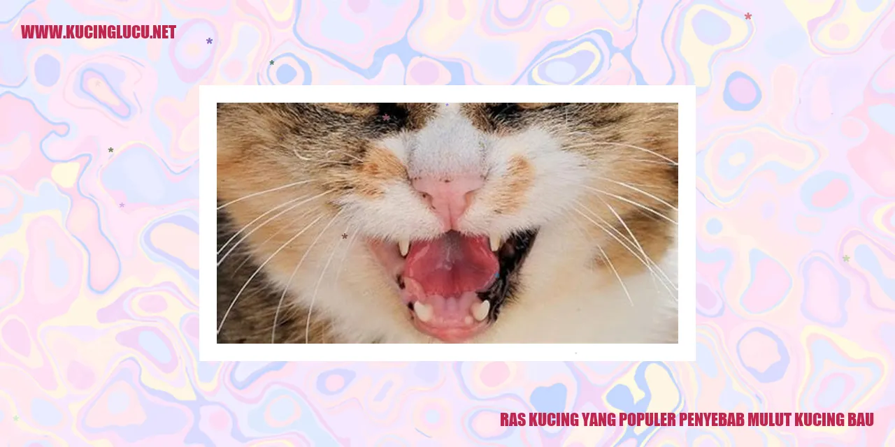 Gambar kucing