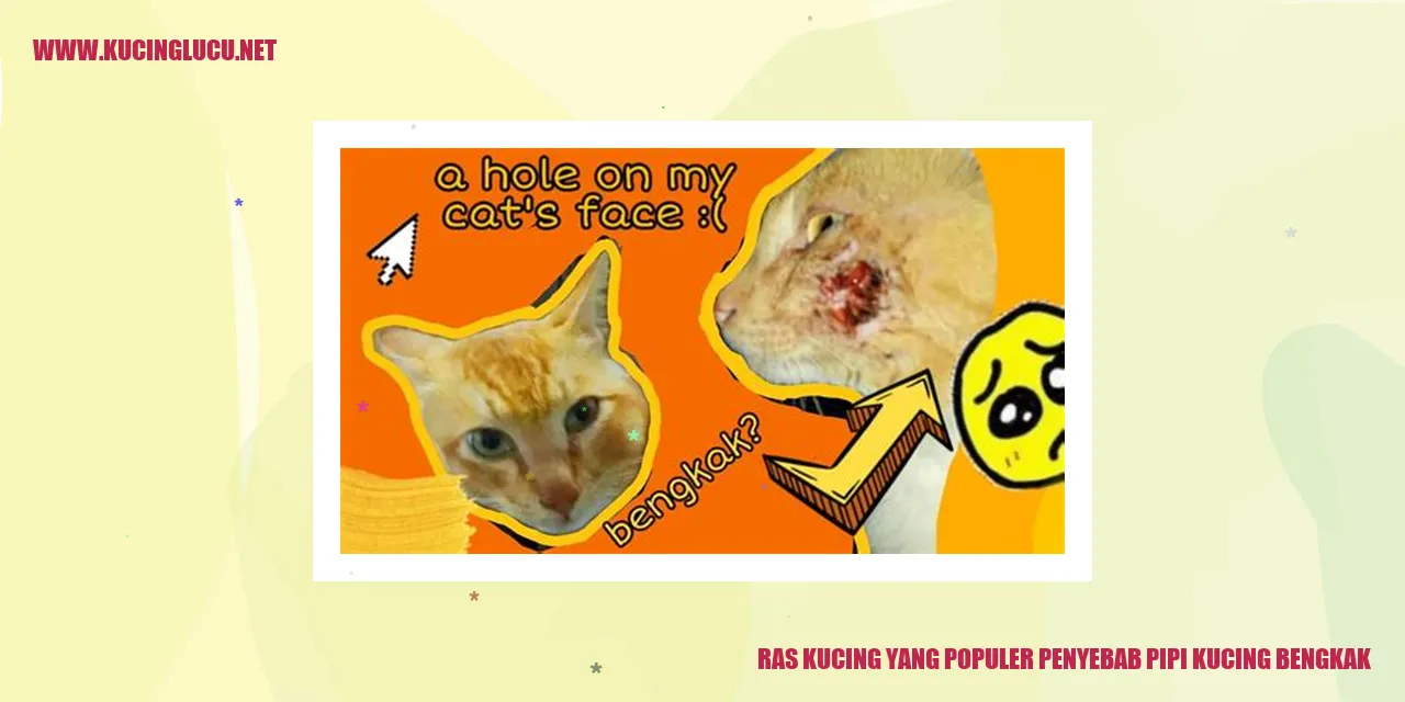 Ras Kucing yang Populer penyebab pipi kucing bengkak