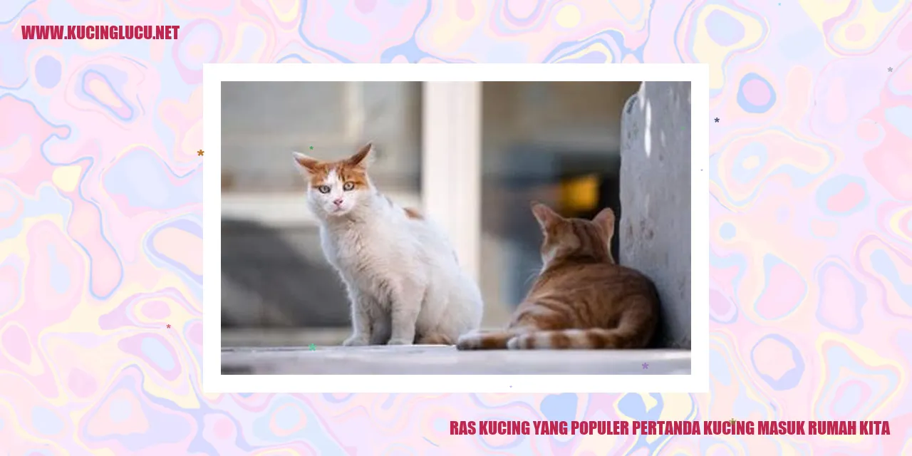 Ras Kucing yang Populer