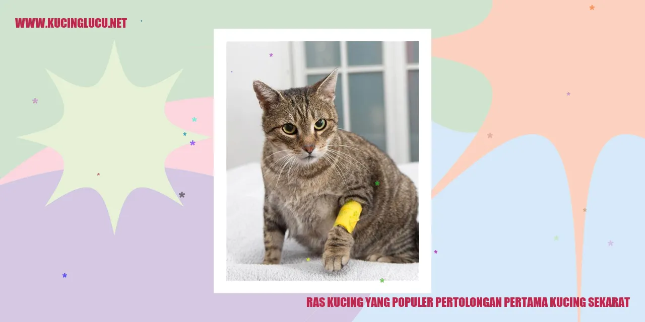 Ras Kucing yang Populer pertolongan pertama kucing sekarat