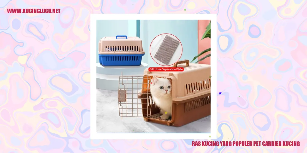Ras Kucing yang Populer pet carrier kucing