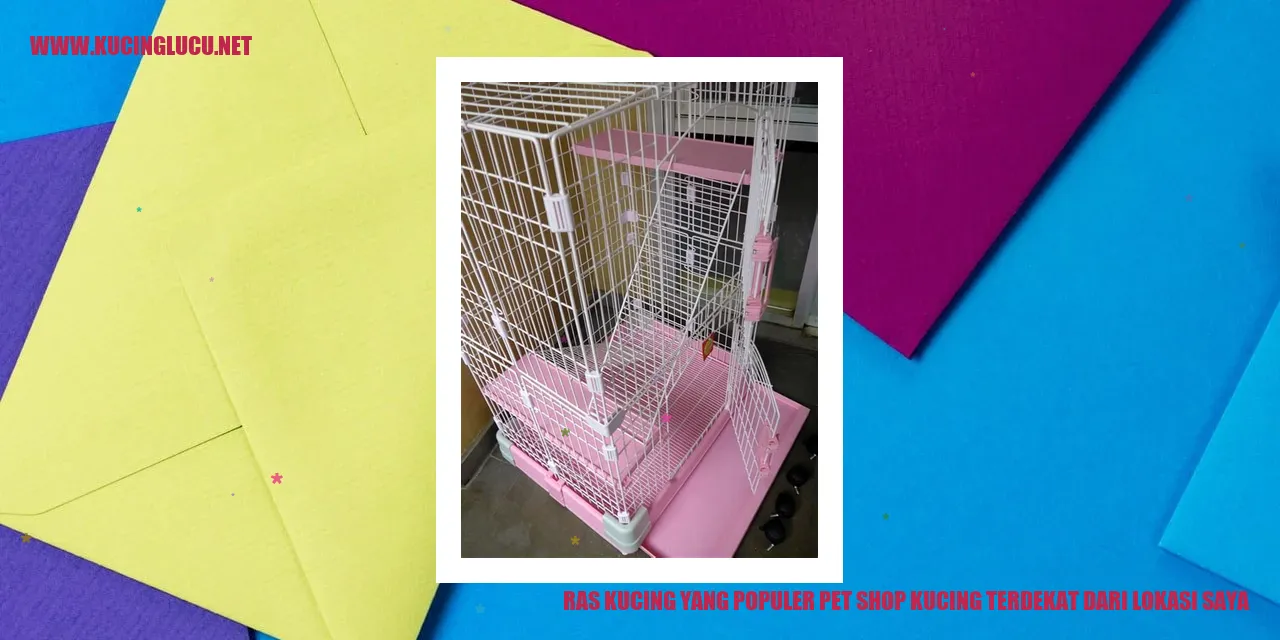 kucing ras yang trendi
