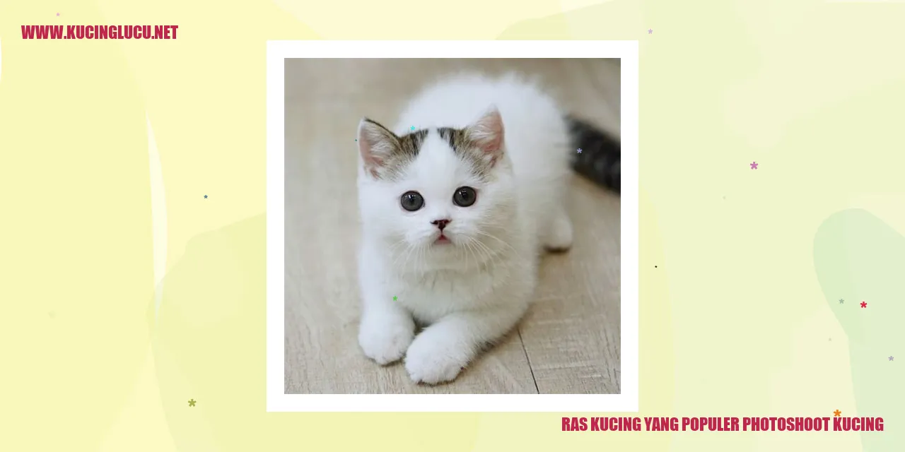 Ras Kucing yang Terkenal untuk Penyuntingan Foto Kucing