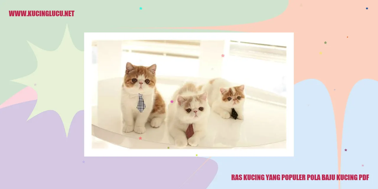 kucing memakai pakaian dengan pola