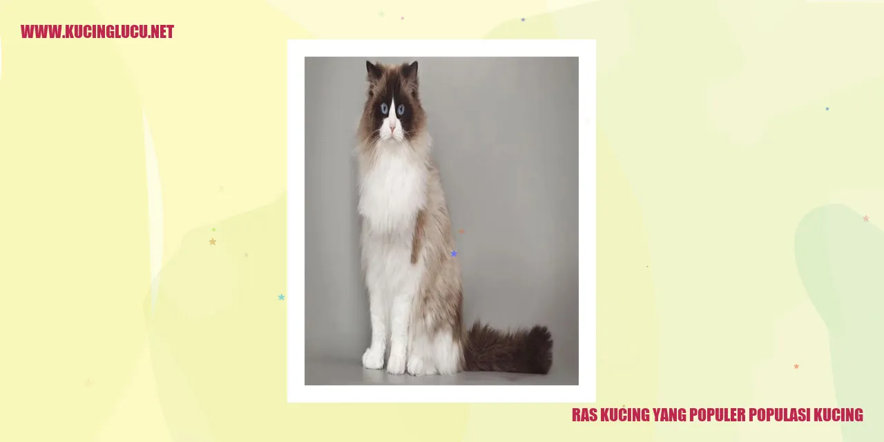 Ragam Kucing yang Terkenal dalam Populasi Kucing