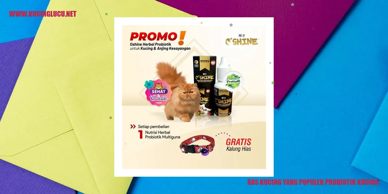 Gambar Ras Kucing yang Populer probiotik kucing