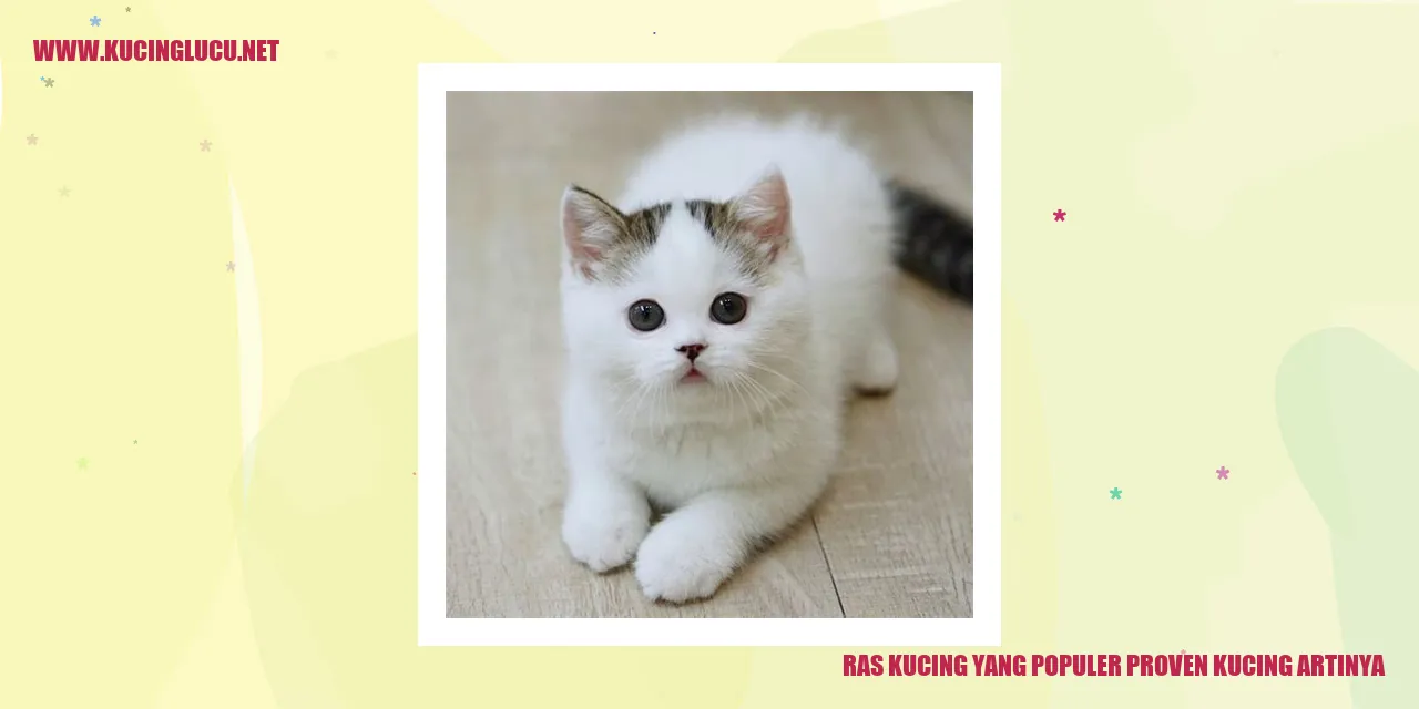 Ras Kucing yang Populer