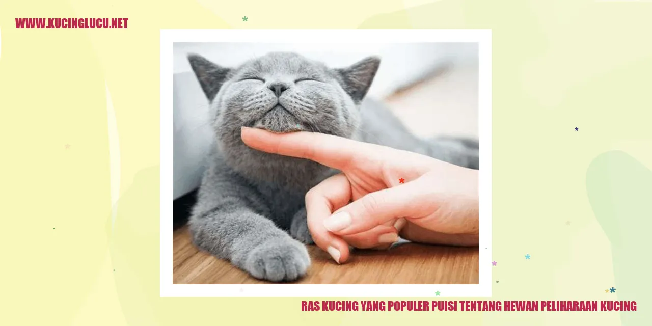 Ilustrasi Kucing Ras Populer