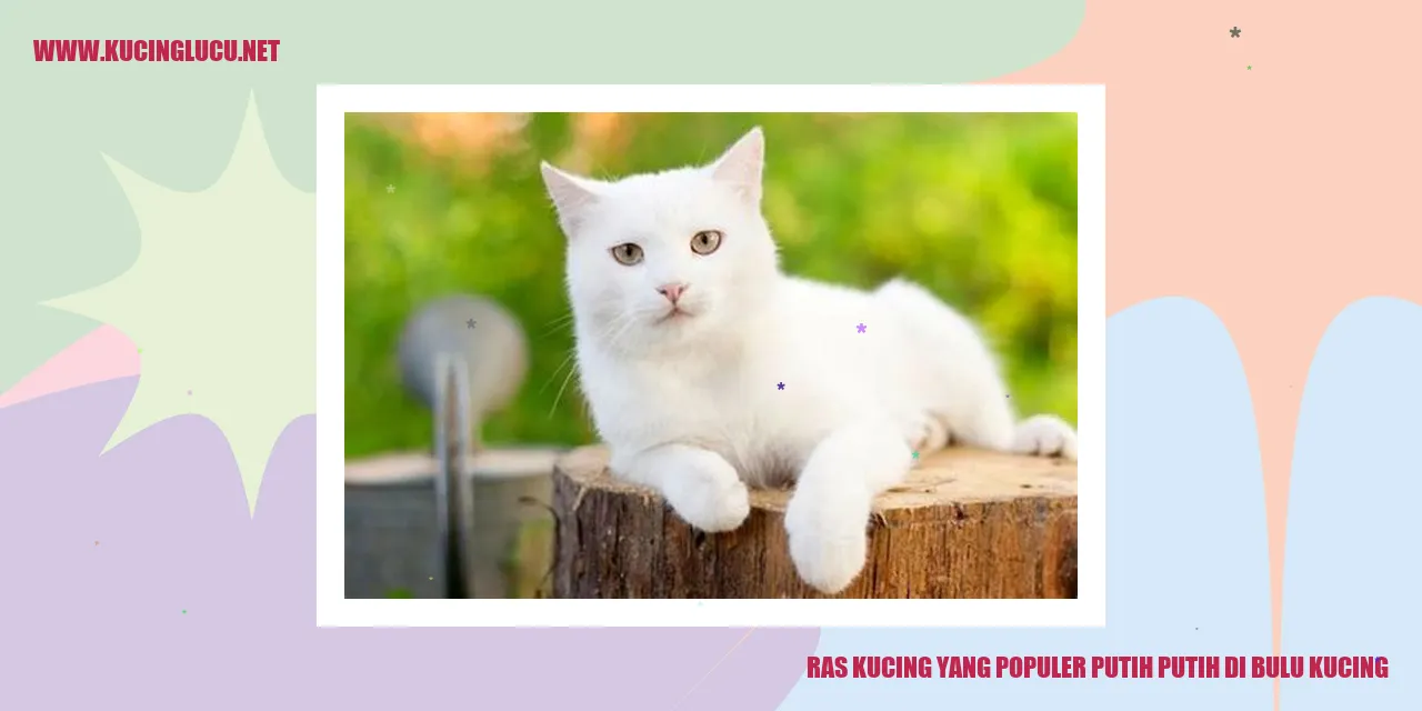 Kucing dengan bulu putih