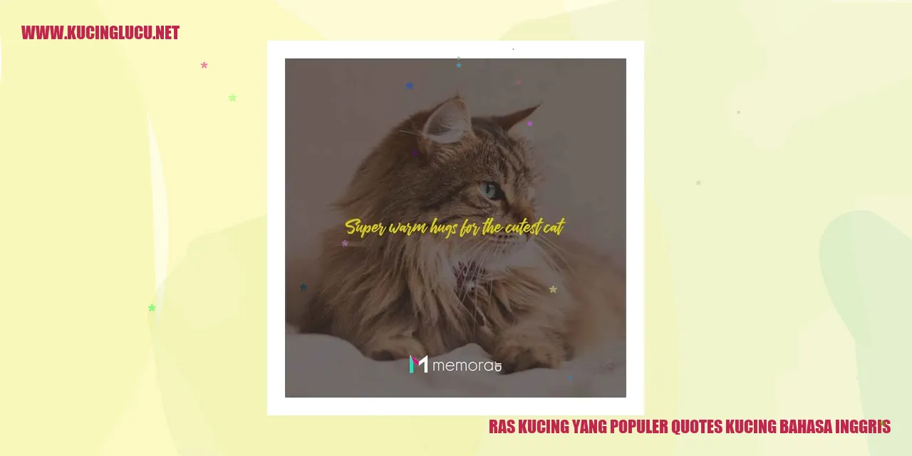 Ras Kucing yang Populer