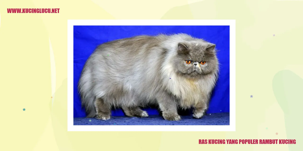 Gambar Kucing yang Menawan
