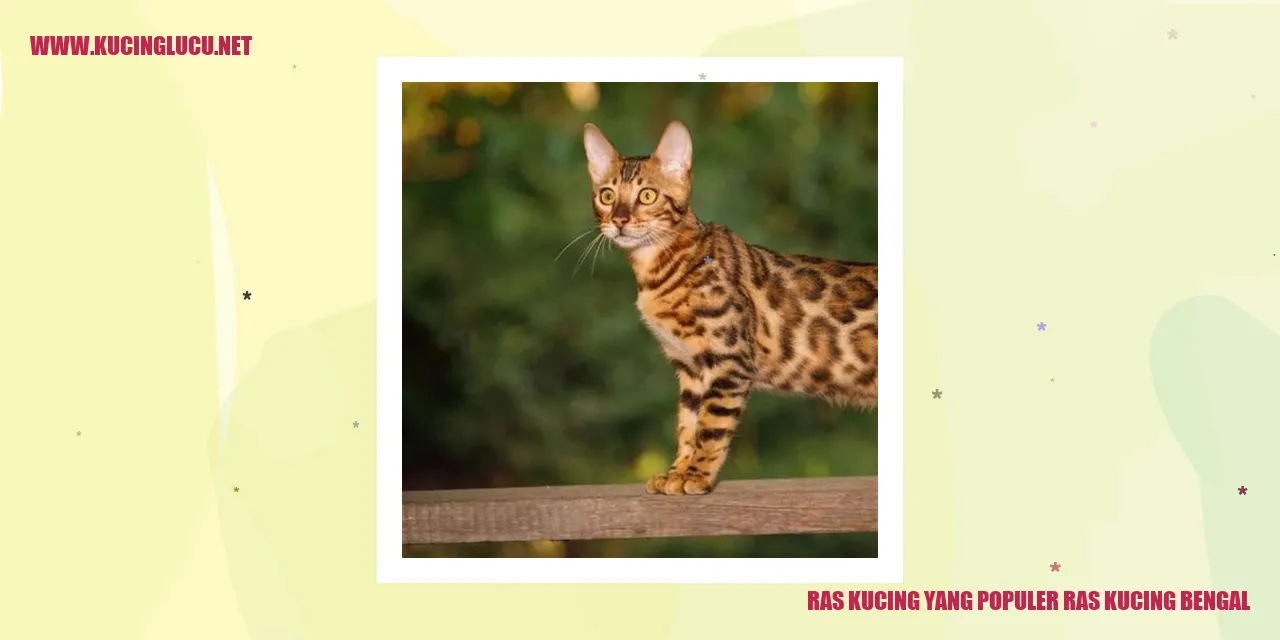 Kucing Bengal