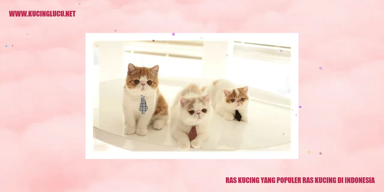 Ras Kucing yang Terkenal di Indonesia