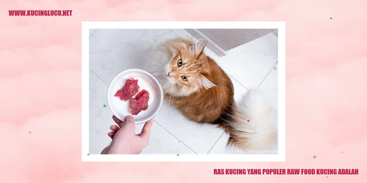 Ras Kucing yang Populer: Raw Food untuk Kucing