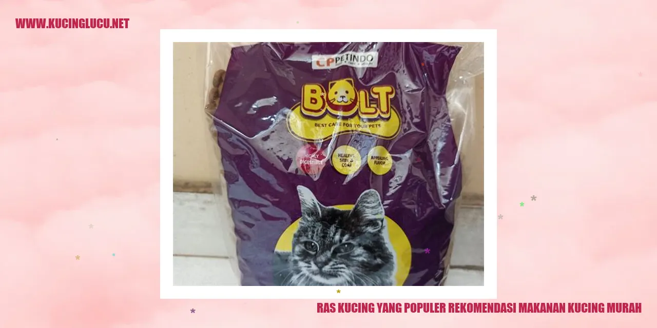 Kucing Ras Populer