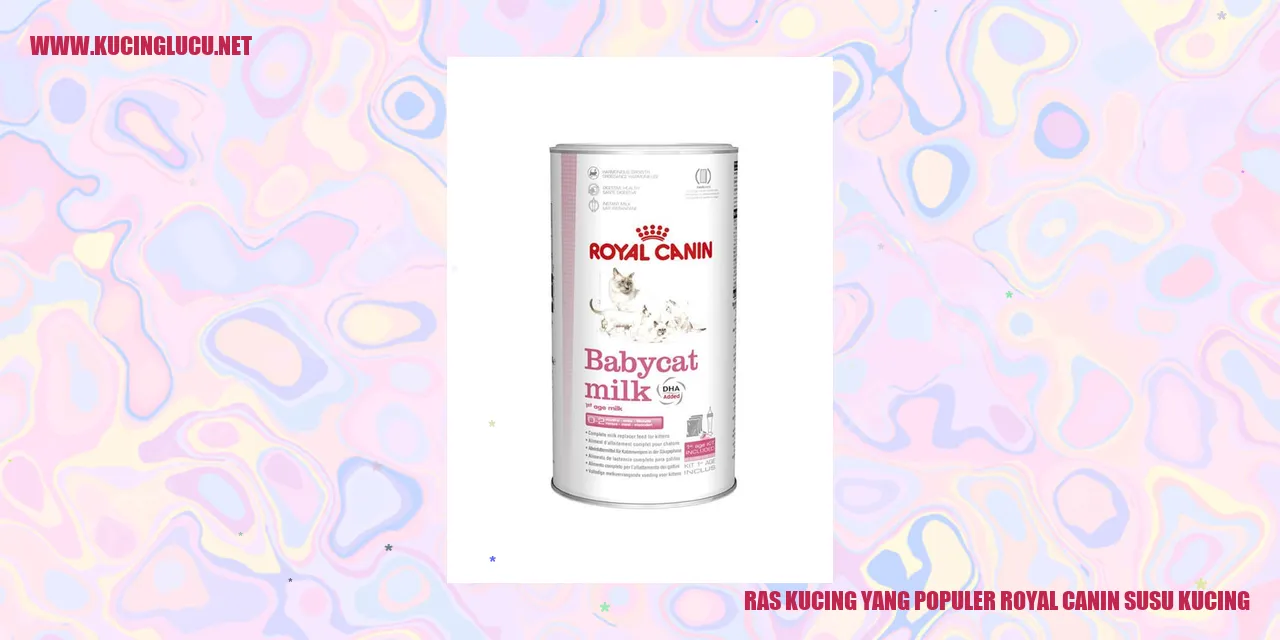 Ras Kucing yang Populer royal canin susu kucing