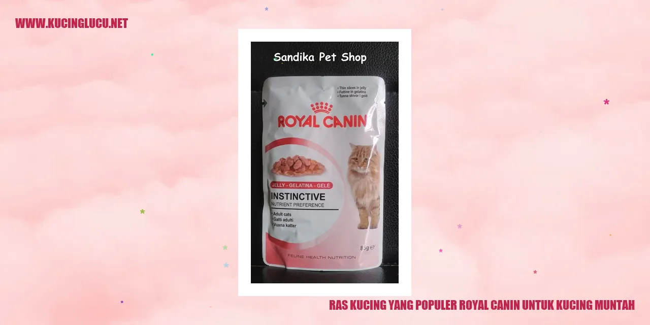 Ras Kucing yang Terkenal: Royal Canin untuk Kucing yang Sering Muntah