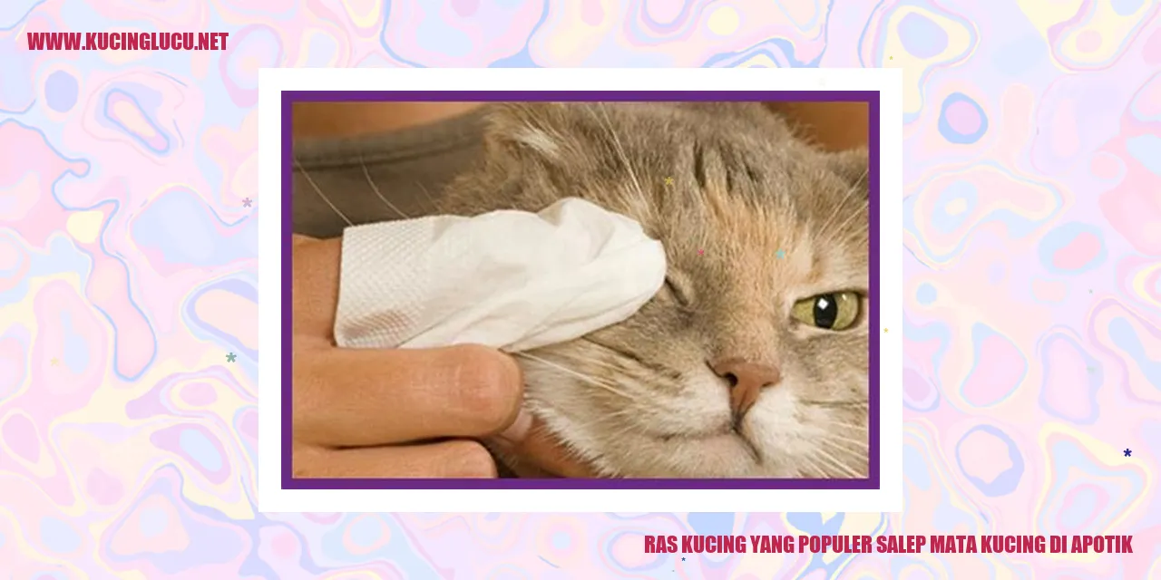 Ras Kucing yang Populer Salep Mata Kucing di Apotik