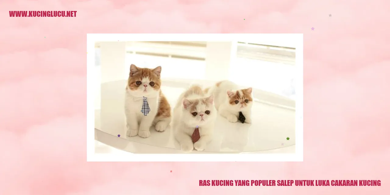 Ras Kucing yang Populer