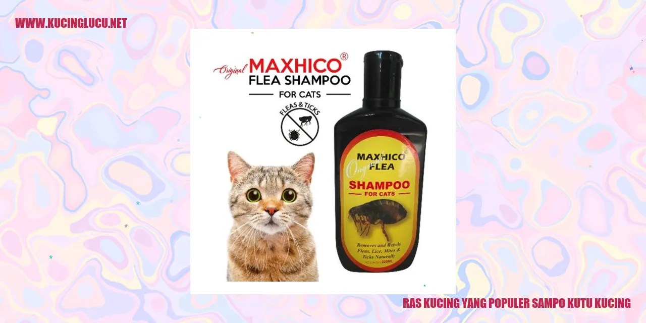 Ras Kucing yang Populer Sampo Kutu Kucing