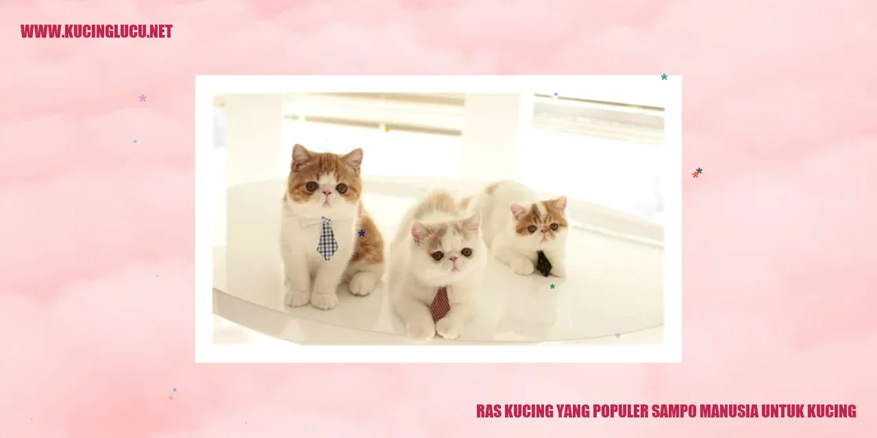 Ras Kucing yang Populer sampo manusia untuk kucing