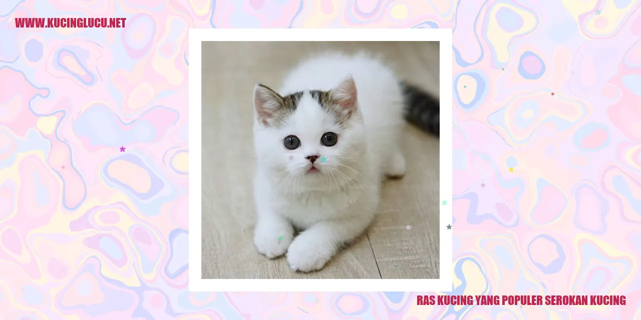Kucing Ras yang Terkenal Mencuri Hati