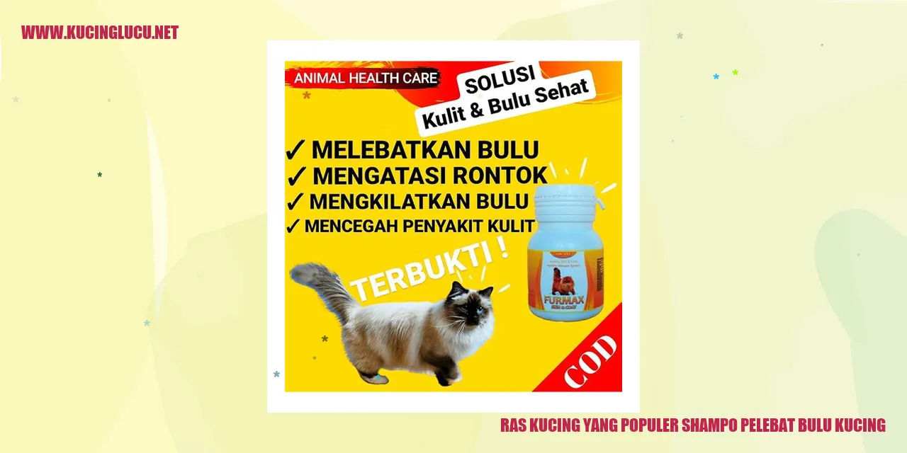 Shampo Pelebat Bulu Kucing