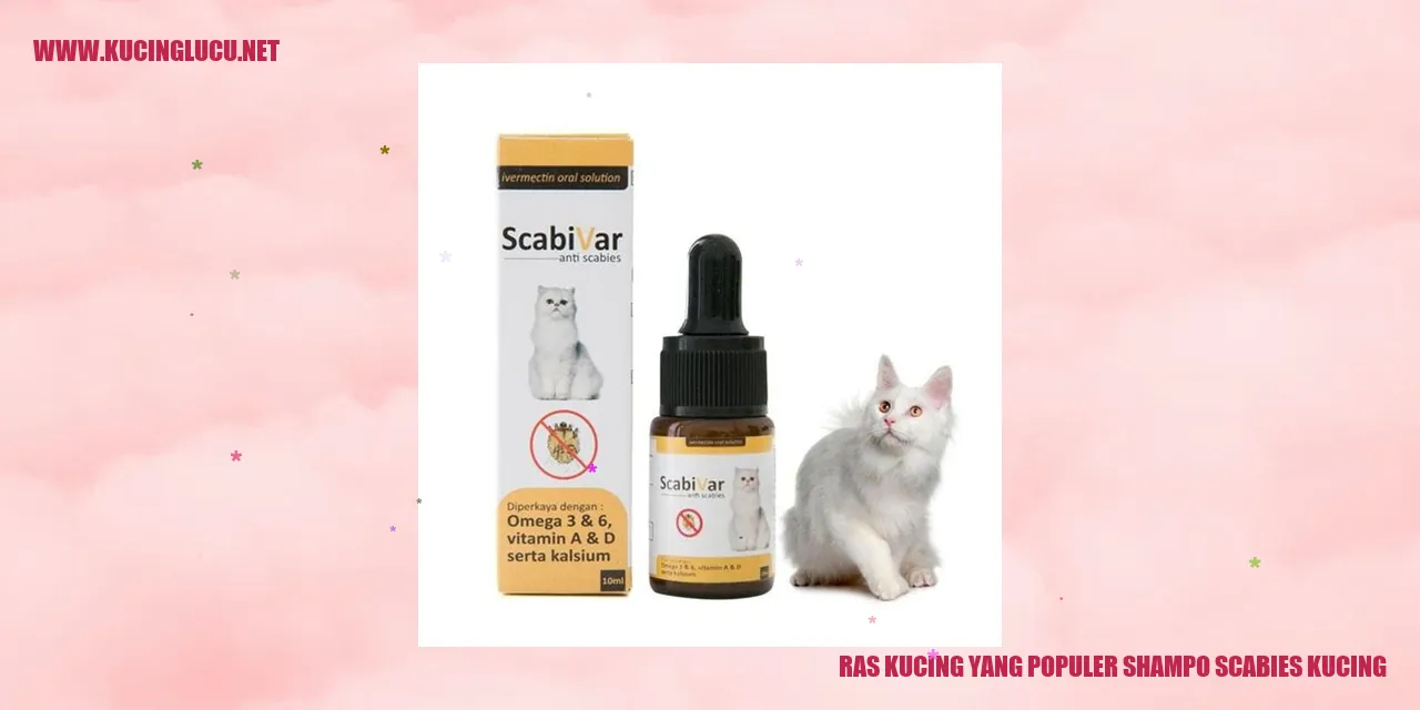 Gambar Kucing
