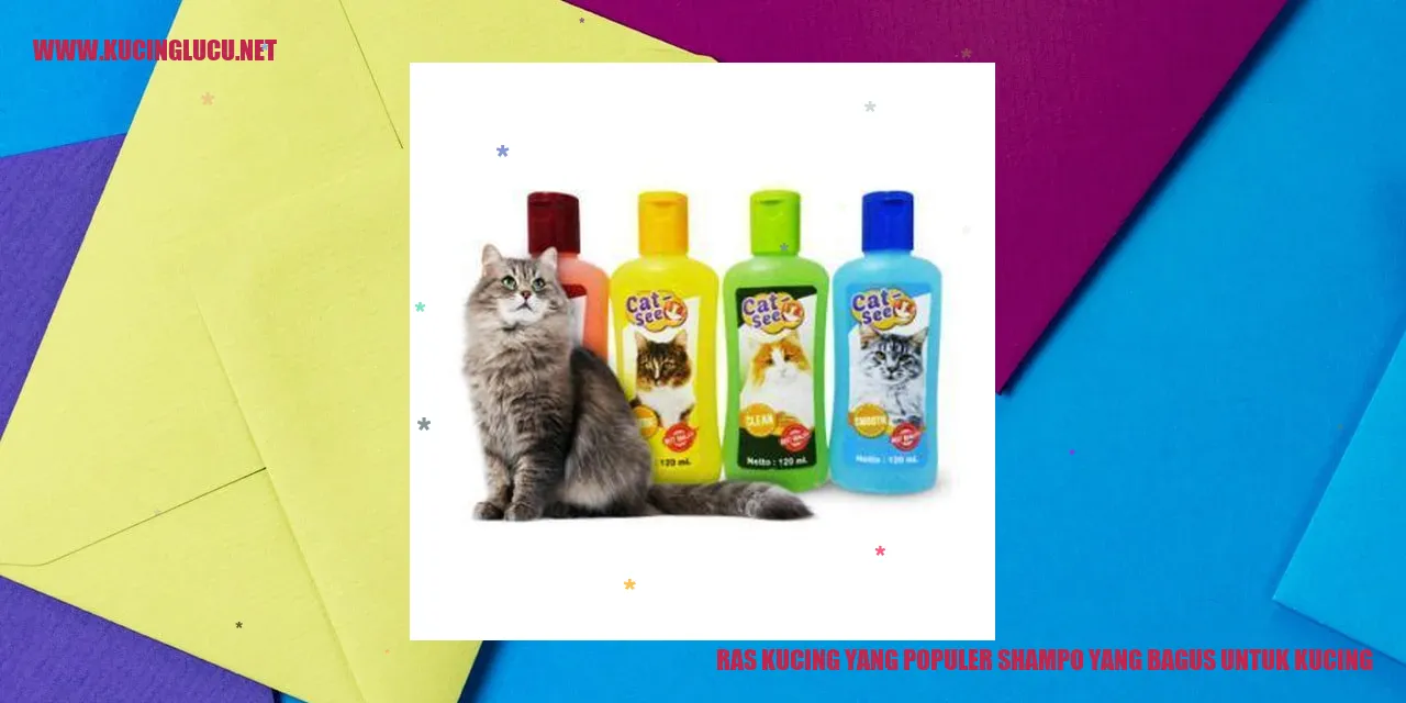 Ras Kucing yang Terkenal dan Shampo Terbaik untuk Kucing