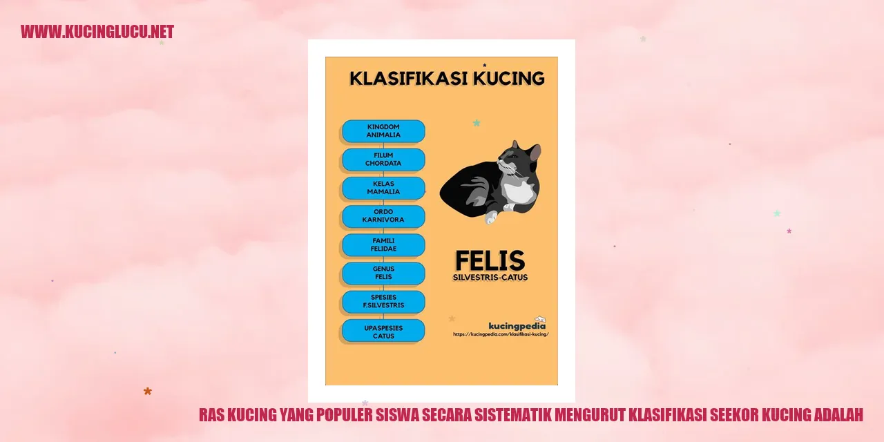 Ras Kucing yang Populer
