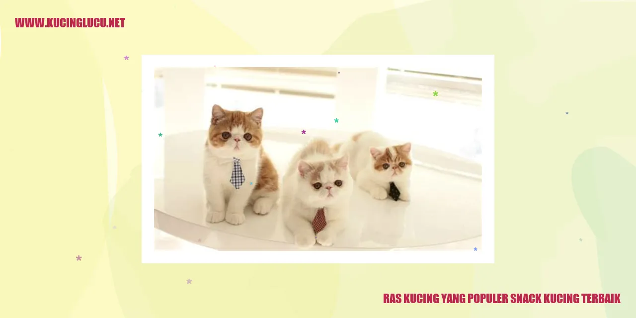 Ras Kucing yang Populer sebagai Snack Kucing Terbaik