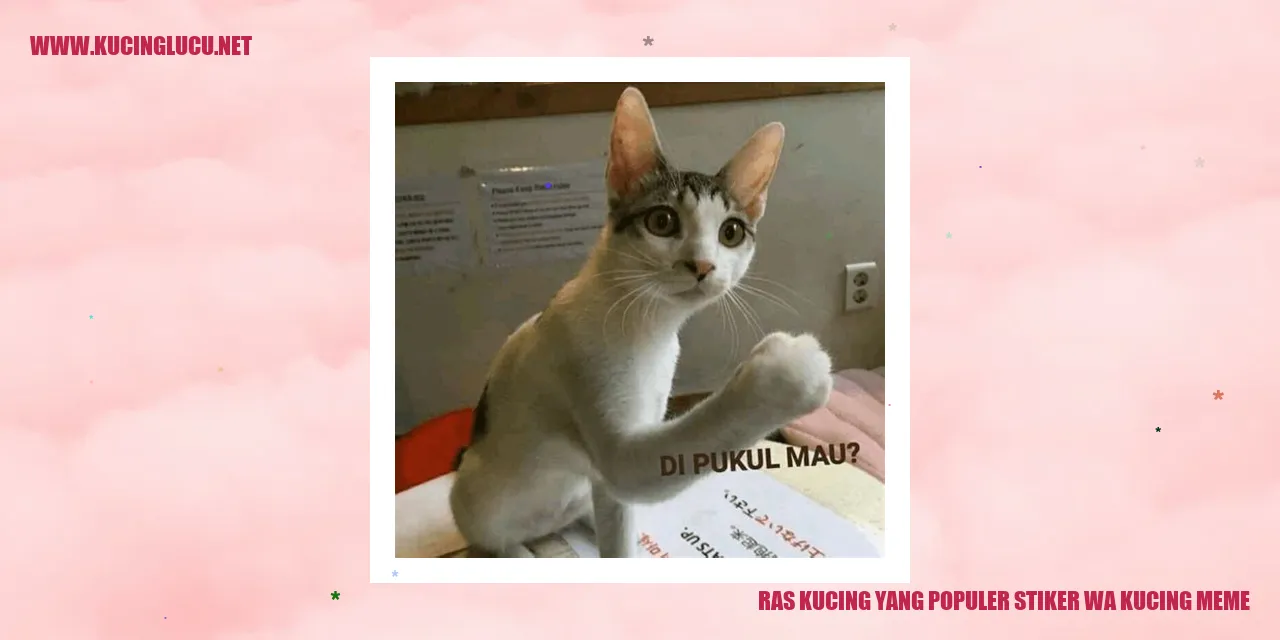 Ras Kucing yang Populer stiker wa kucing meme