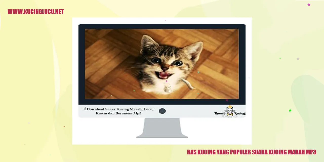 gambar kucing marah