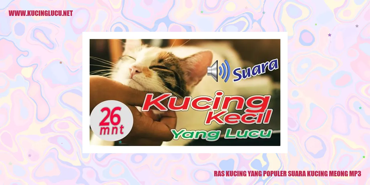 Suara Kucing Meong