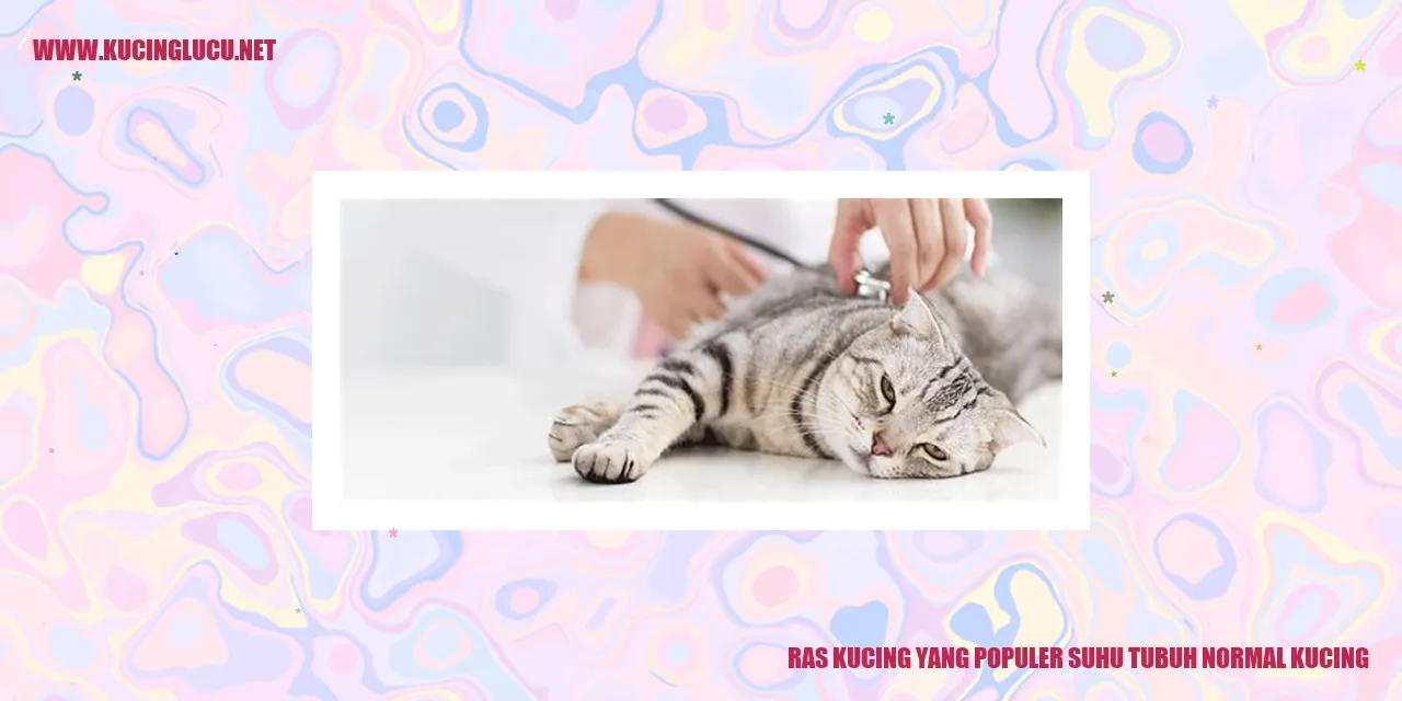 Ras Kucing yang Populer