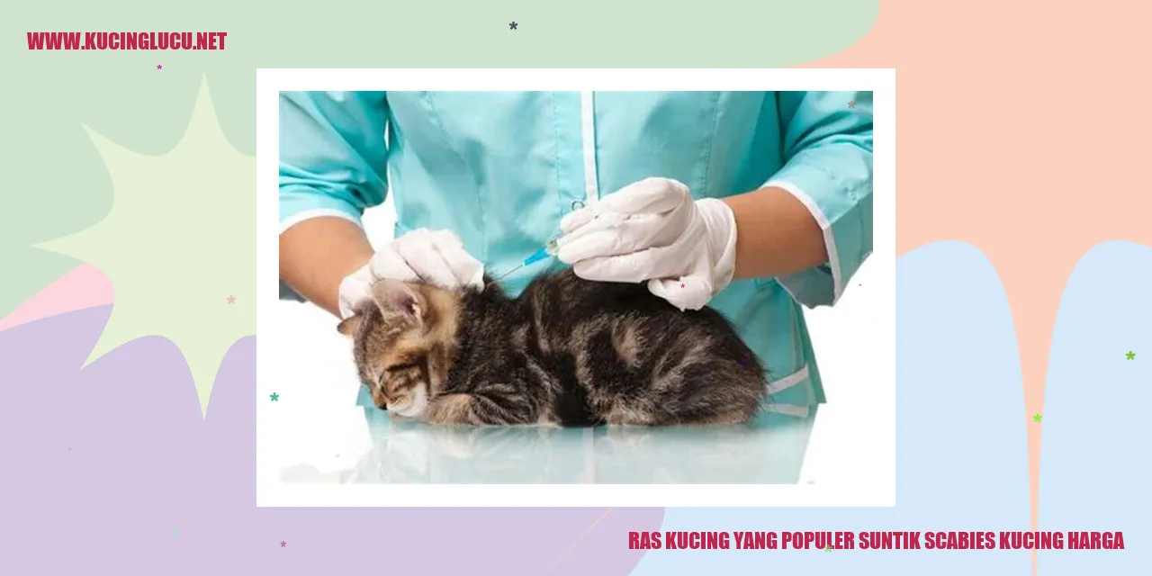 Gambar Kucing