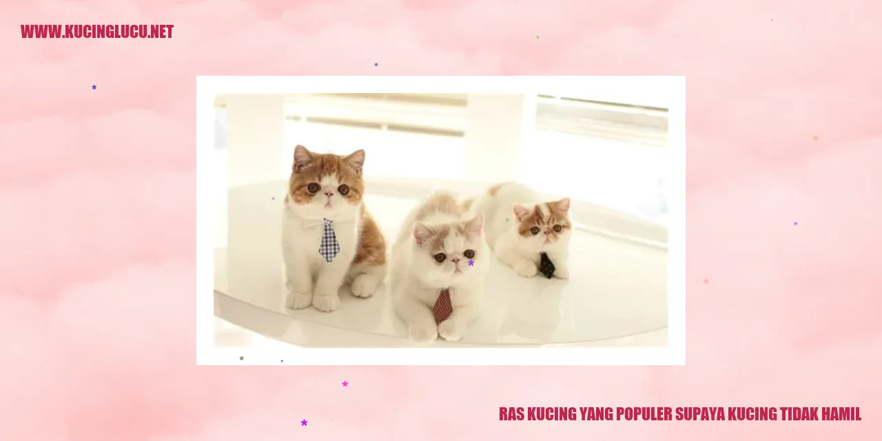 Kucing Populer