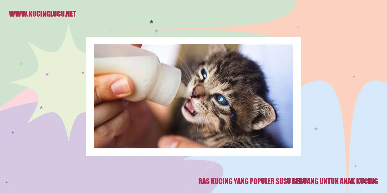 Ras Kucing yang Populer: Susu Beruang untuk Anak Kucing
