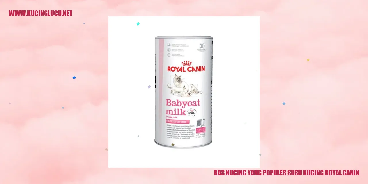 Gambar Susu Kucing Royal Canin