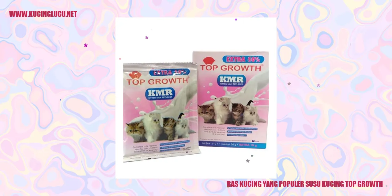 Gambar Kucing Ras yang Terkenal