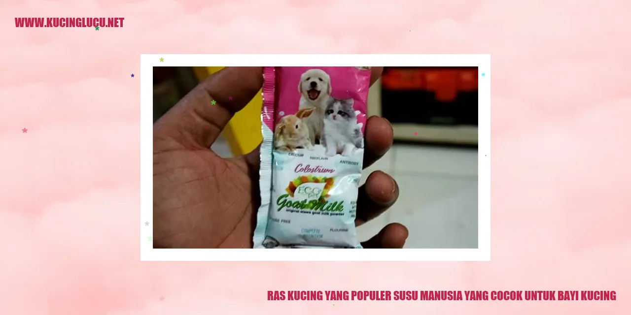 Kucing Bayi Minum Susu Manusia