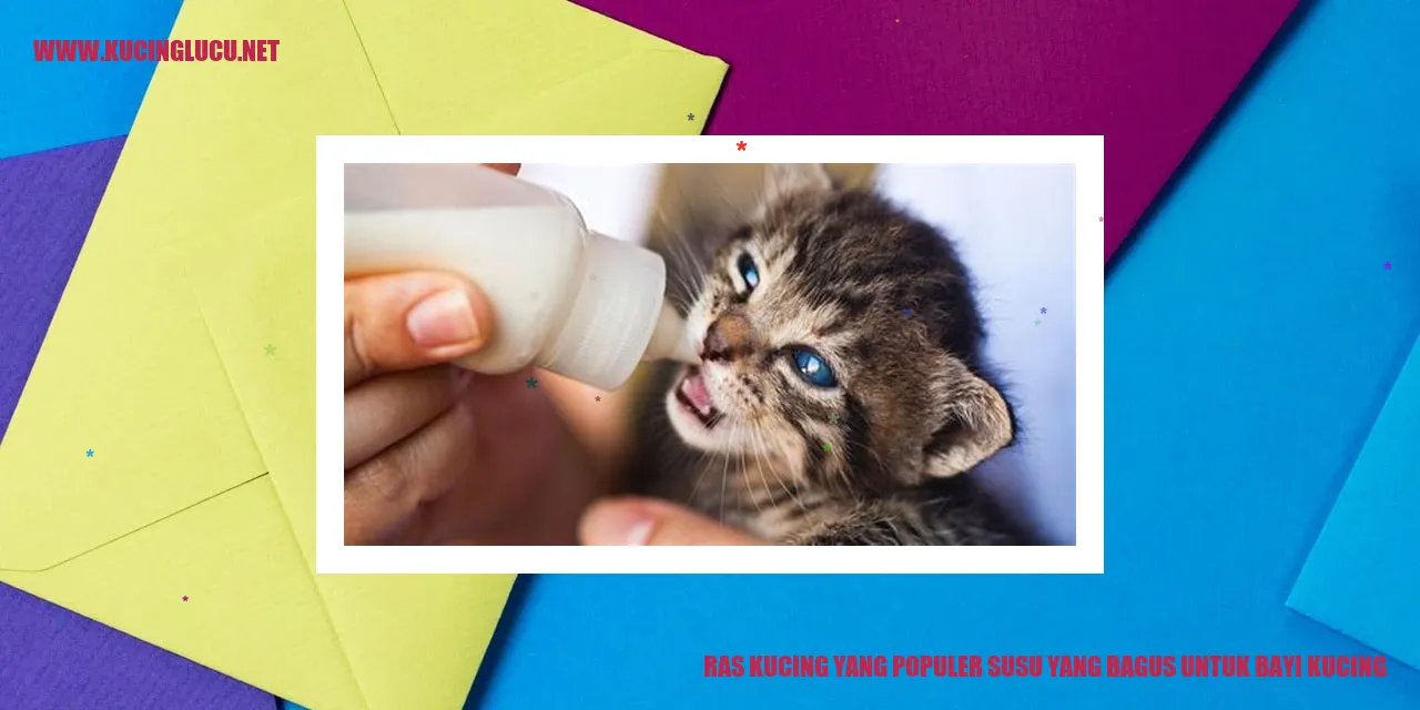 Ras Kucing yang Populer