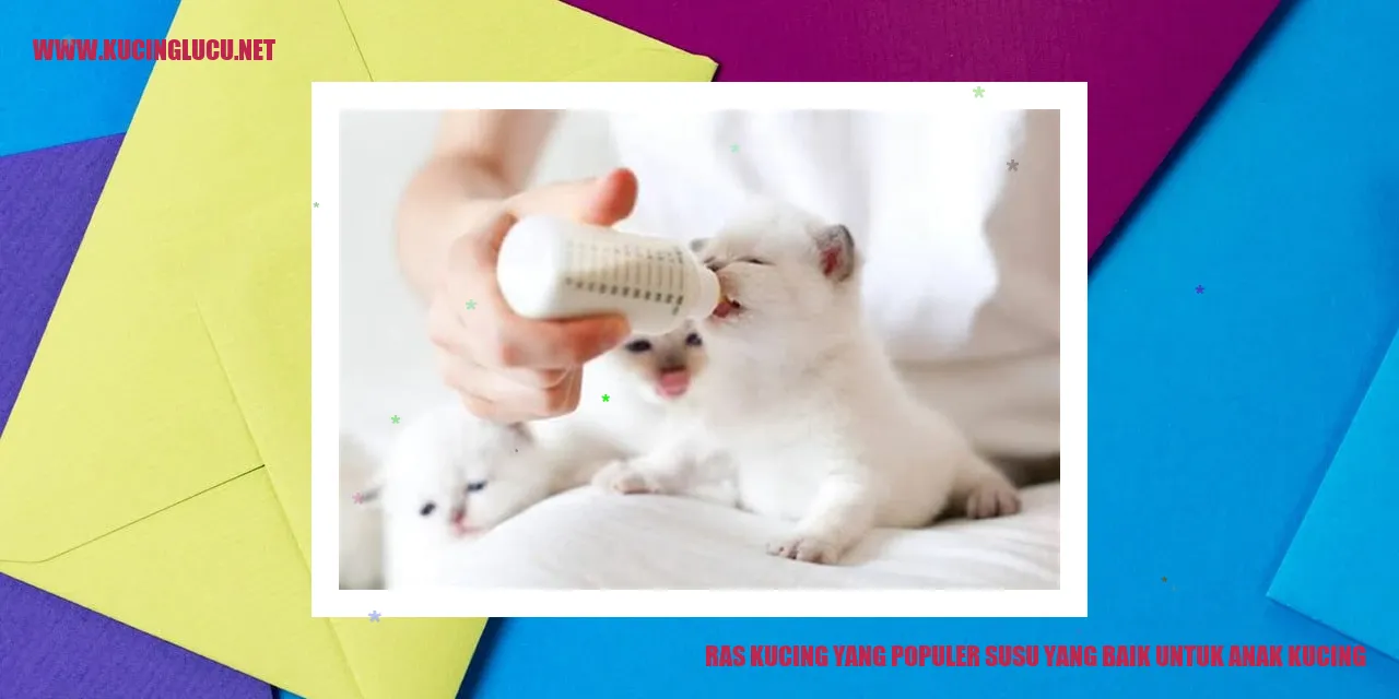 Ras Kucing yang Populer susu yang baik untuk anak kucing
