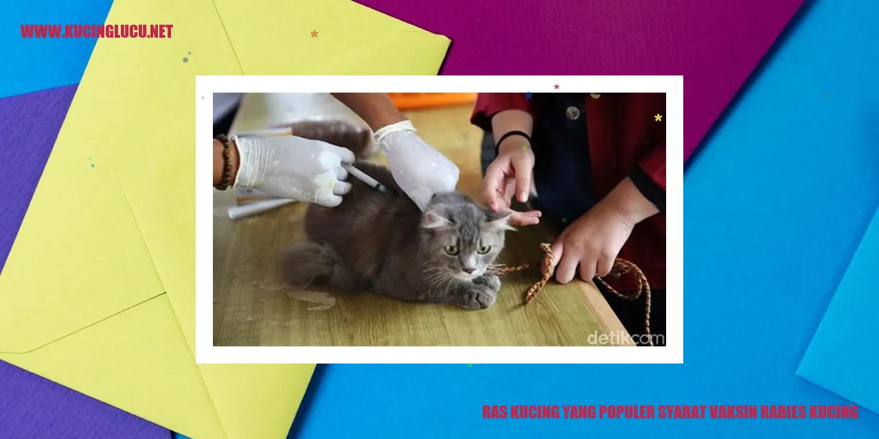 Kucing Terlindungi Vaksin Rabies