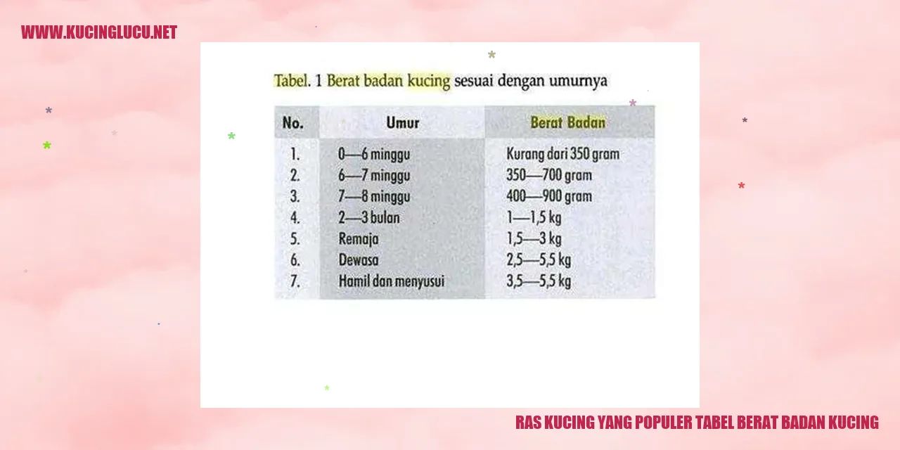 Gambar Ras Kucing yang Populer