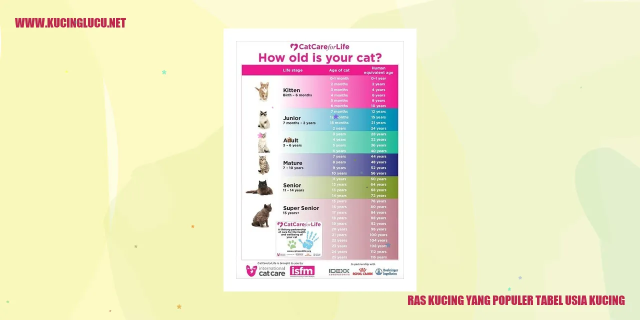 Gambar Ras Kucing Terkenal